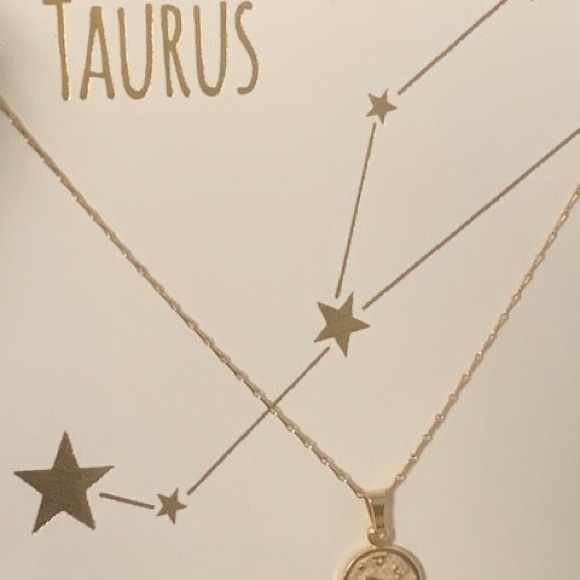 Tiny Zodiac Coin Necklace - Picture 3 of 11